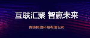 “互聯(lián)聚匯，智贏未來(lái)” 2019焦作青峰全網(wǎng)合作峰會(huì)圓滿(mǎn)成功！
