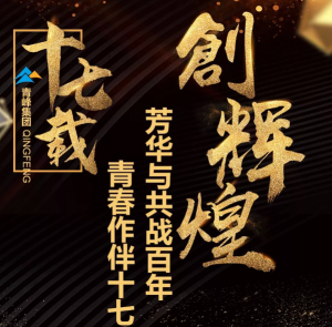 【最佳作品獎】青峰“十七歲花季”綻放歷程——青春作伴十七載，芳華與共戰(zhàn)百年