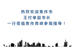 熱烈歡迎焦作市王付舉副市長一行蒞臨焦作青峰參觀指導！